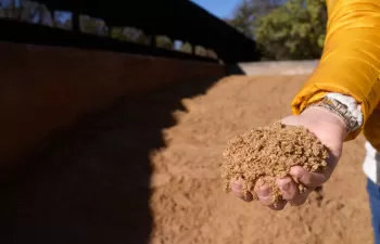 Damm transforma el 100% del bagazo de la fabricación de cerveza en alimento para ganado