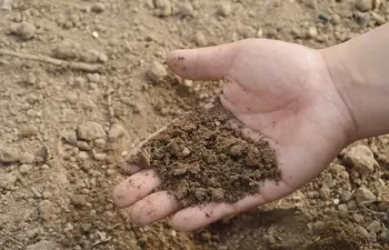 Eurecat participa en un proceso de compra pública para avanzar en la descontaminación de suelos