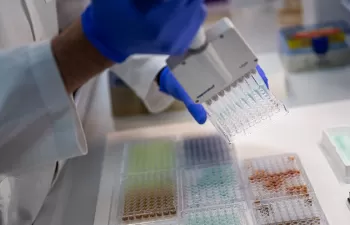 Soluciones biotecnológicas para un aprovechamiento integral de la madera